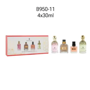 Zestaw 4x30ml B950-11